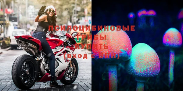 марки nbome Аркадак