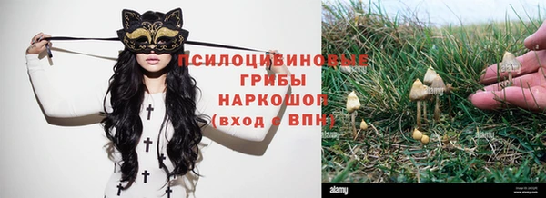 ГАЛЛЮЦИНОГЕННЫЕ ГРИБЫ Армянск